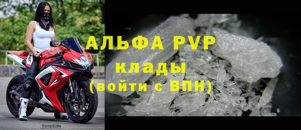 индика Вязьма